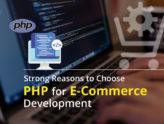 php web development company,php application development company,php web development India