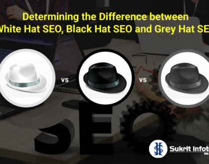 SEO Services Company in India,Search engine optimization Services in India